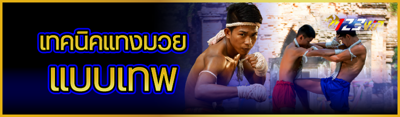 เทคนิคแทงมวยแบบเทพ