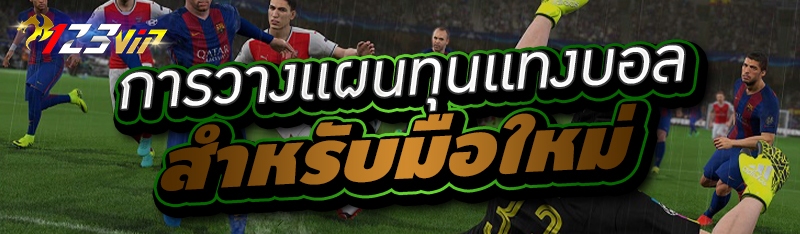 การวางแผนทุนแทงบอล สำหรับมือใหม่ 