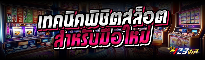 เทคนิคพิชิตสล็อตสำหรับมือใหม่ 